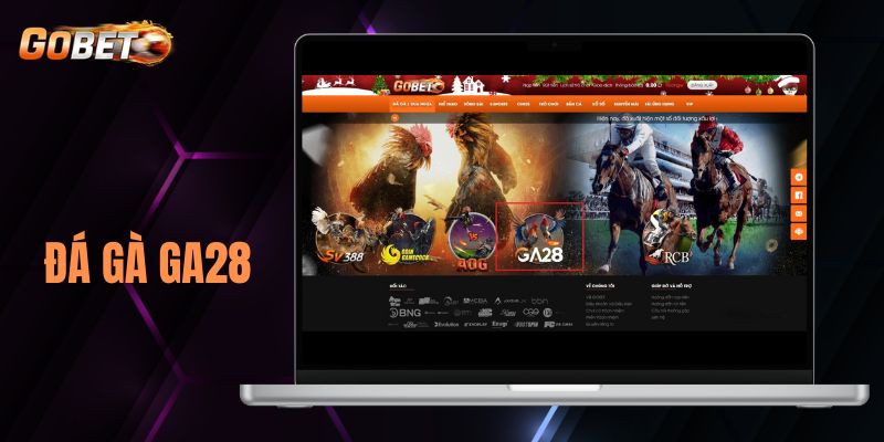 Sảnh đá gà Ga28