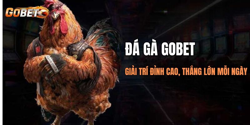 Đá gà Gobet giải trí đỉnh cao