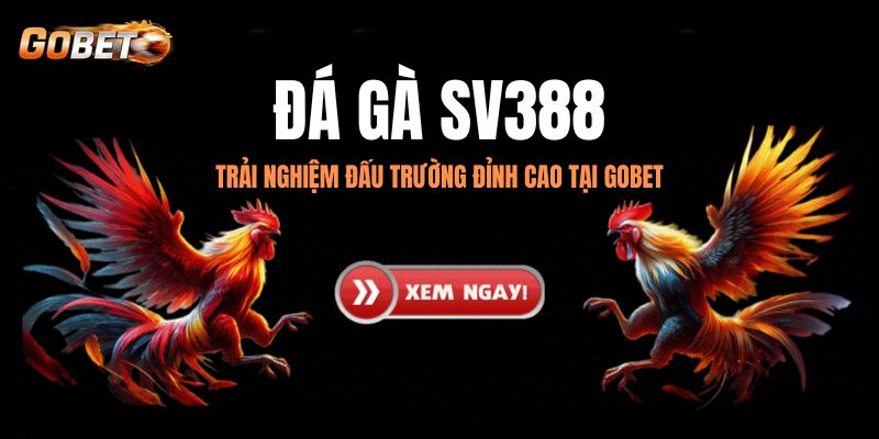Đá gà Sv388 tại nhà cái Gobet